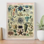 Painting & Calligraphy