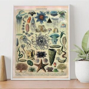 Painting & Calligraphy