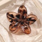 Women Hair Accessories