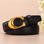Women Belts & Belts Accessories