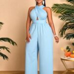 Plus Size Jumpsuits