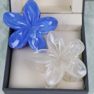 Women Hair Accessories