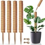 Plant Support & Care