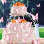 Cake Decorating Supplies